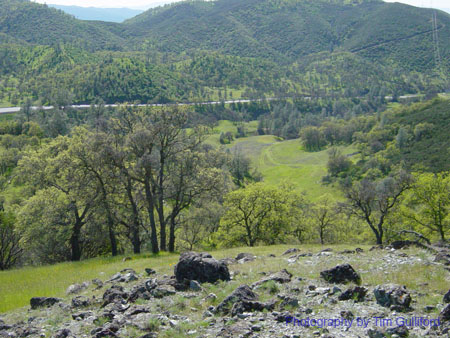 Spring IVR 2005 (11)