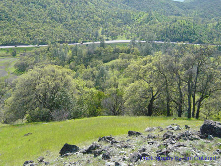 Spring IVR 2005 (12)