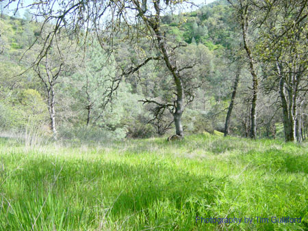 Spring IVR 2005 (20)