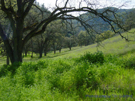 Spring IVR 2005 (22)