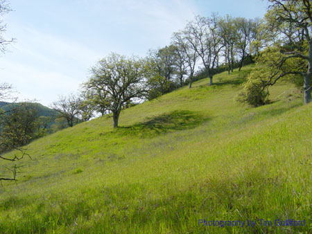 Spring IVR 2005 (23)