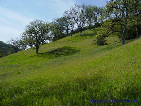 Spring IVR 2005 (24)