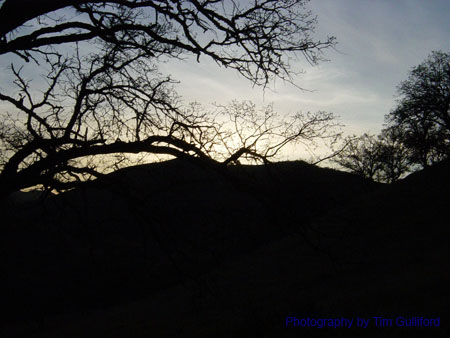 Spring IVR 2005 (26)