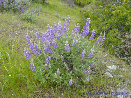 Spring IVR 2005 (27)