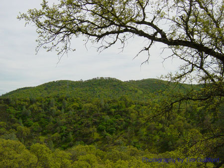 Spring IVR 2005 (43)