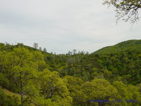 Spring IVR 2005 (44)