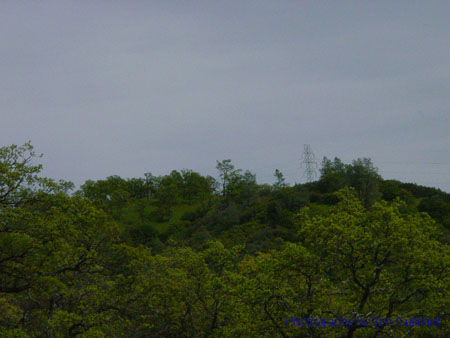 Spring IVR 2005 (45)