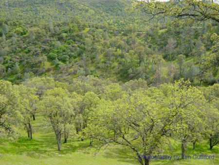 Spring IVR 2005 (46)
