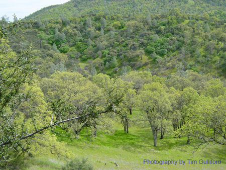 Spring IVR 2005 (47)