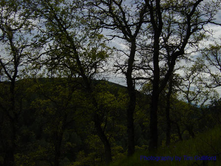 Spring IVR 2005 (54)