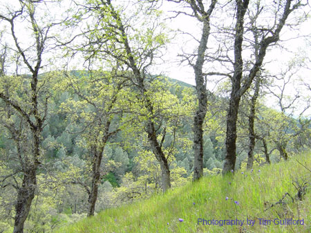 Spring IVR 2005 (55)