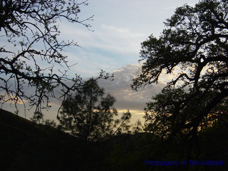 Spring IVR 2005 (59)