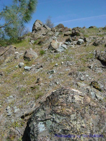 Spring IVR 2005 (6)
