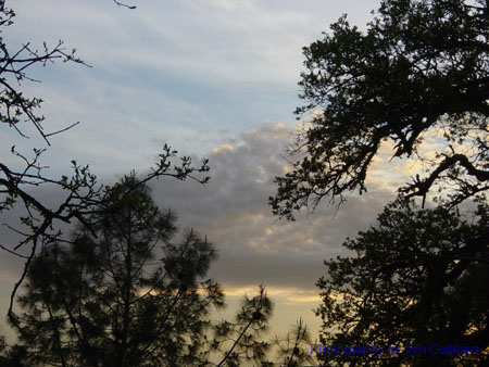 Spring IVR 2005 (60)