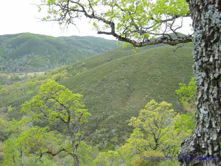 Spring IVR 2005 (65)
