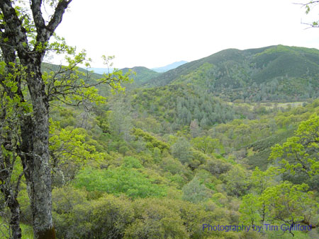 Spring IVR 2005 (66)