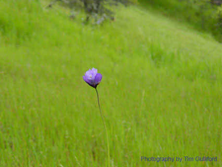 Spring IVR 2005 (68)