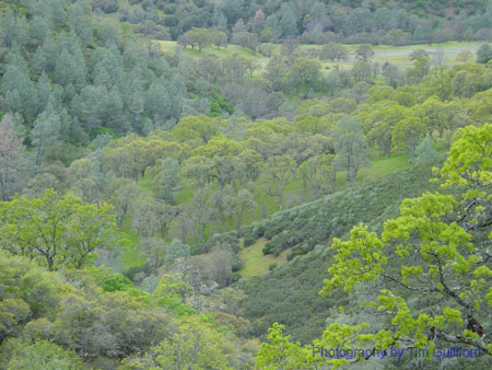 Spring IVR 2005 (69)