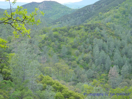Spring IVR 2005 (70)