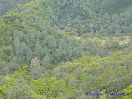 Spring IVR 2005 (71)