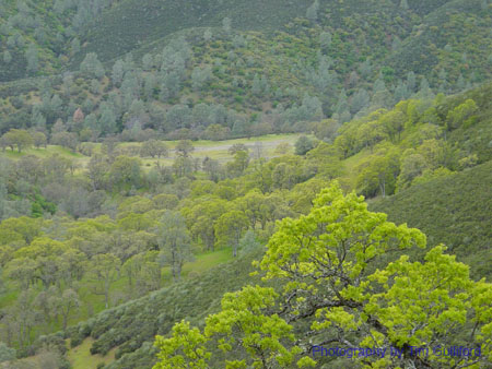 Spring IVR 2005 (72)