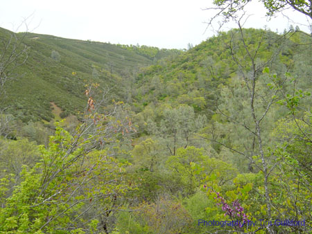 Spring IVR 2005 (79)