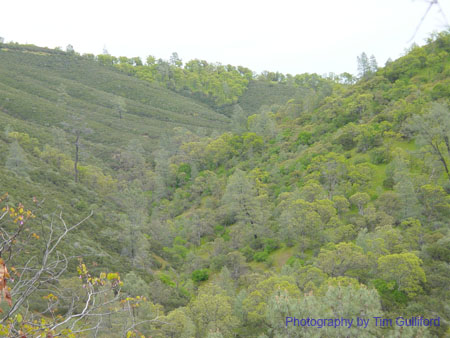 Spring IVR 2005 (80)
