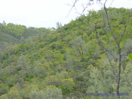 Spring IVR 2005 (83)