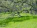 Spring IVR 2005 (1)