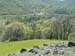 Spring IVR 2005 (12)