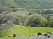 Spring IVR 2005 (13)