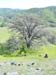 Spring IVR 2005 (14)