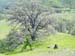Spring IVR 2005 (15)