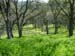 Spring IVR 2005 (18)
