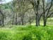 Spring IVR 2005 (19)