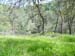 Spring IVR 2005 (20)