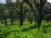 Spring IVR 2005 (21)