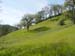 Spring IVR 2005 (23)