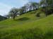 Spring IVR 2005 (24)