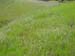 Spring IVR 2005 (33)