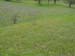 Spring IVR 2005 (35)