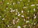 Spring IVR 2005 (36)