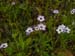 Spring IVR 2005 (37)