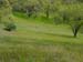 Spring IVR 2005 (42)