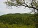 Spring IVR 2005 (43)