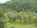 Spring IVR 2005 (47)