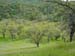 Spring IVR 2005 (53)