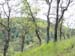 Spring IVR 2005 (55)