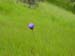 Spring IVR 2005 (68)