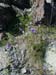 Spring IVR 2005 (7)